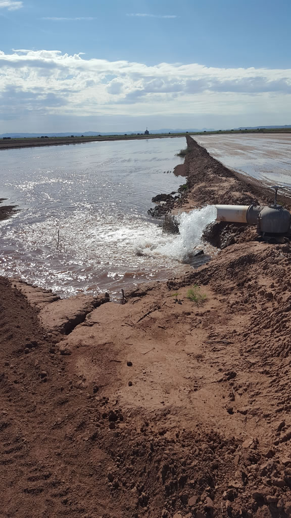 Farm equipment in alfalfa field